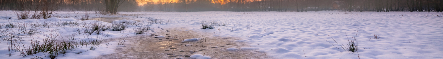 Winter Products
