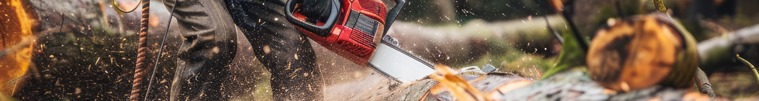 Chainsaw Parts