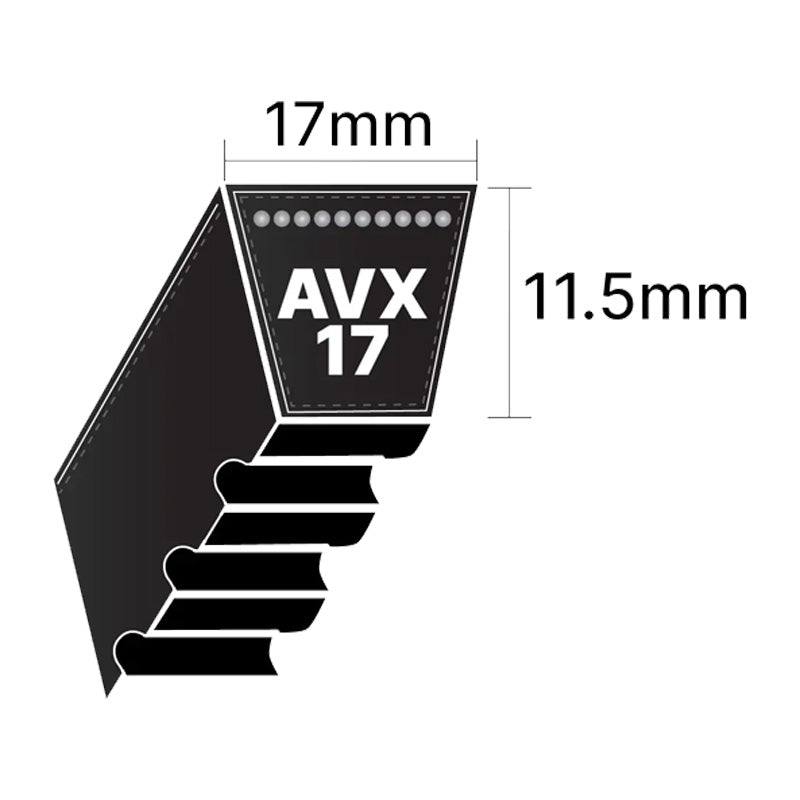 AVX17x1950 Pix AVX-Section Cogged V-Belt
