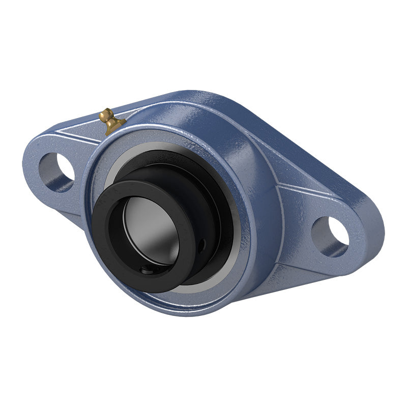 HCFL313 Metric Two Bolt Oval Cast Iron Oval Housing with 65mm Bore Eccentric Collar Insert