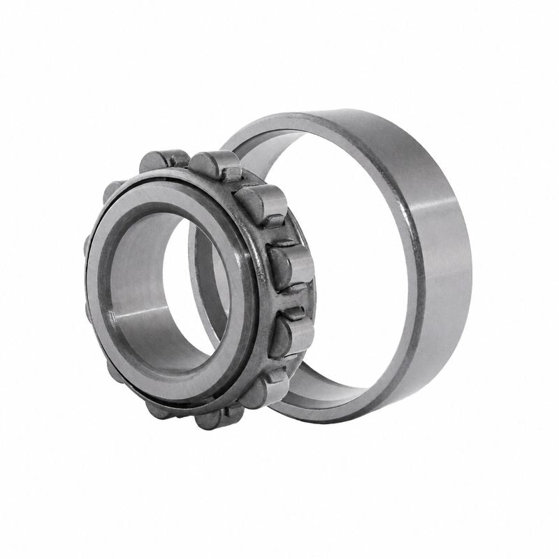 N248-E-M1 Cylindrical Roller Bearing with Cage 240x440x72mm