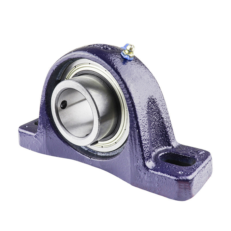 RHP NP1-1/4AR Two Bolt Cast Iron Pillow Block and 1-1/4 Bore Grub Screw Flat Back Insert