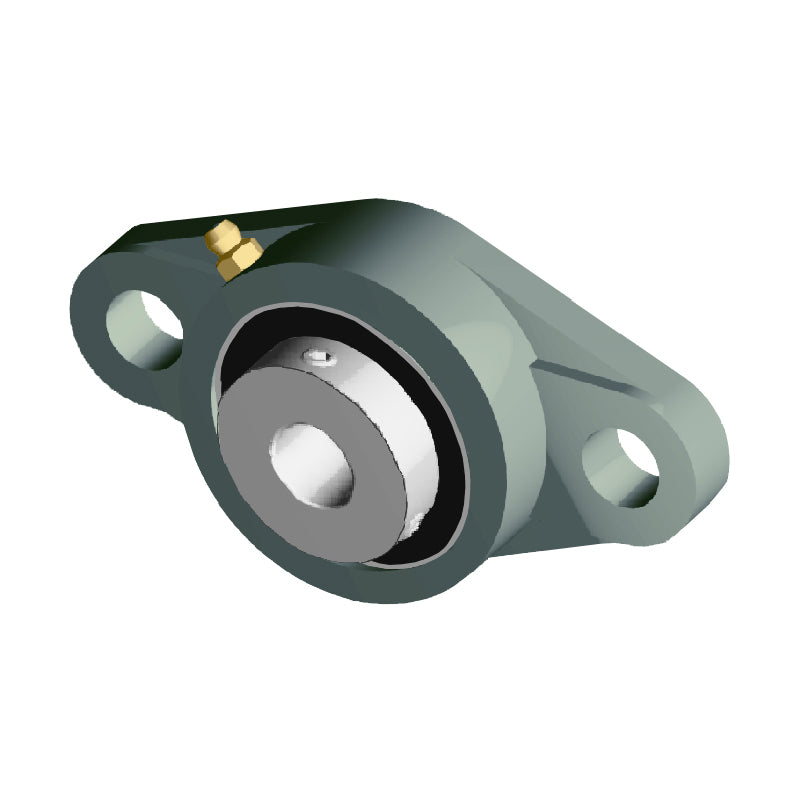NTN UCFLX06-102D1 Imperial Two Bolt Oval Cast Iron Flange Housing with 1-1/8 inch Bore Insert - Allow 2-3 Days