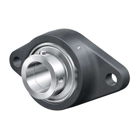 INA RCJTY45XL Two Bolt Cast Iron Oval Housing with Grub Screw Insert 45mm Bore