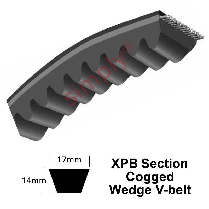 XPB1700 Pix XPB-Section Muscle 3 Cogged V-Belt
